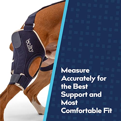 Balto Jump CCL Brace – Dog Knee Brace – Brace with Aluminum Splints – Pre/Post Surgery Support Helps Prevent New Injuries (Right Leg, X-Large)