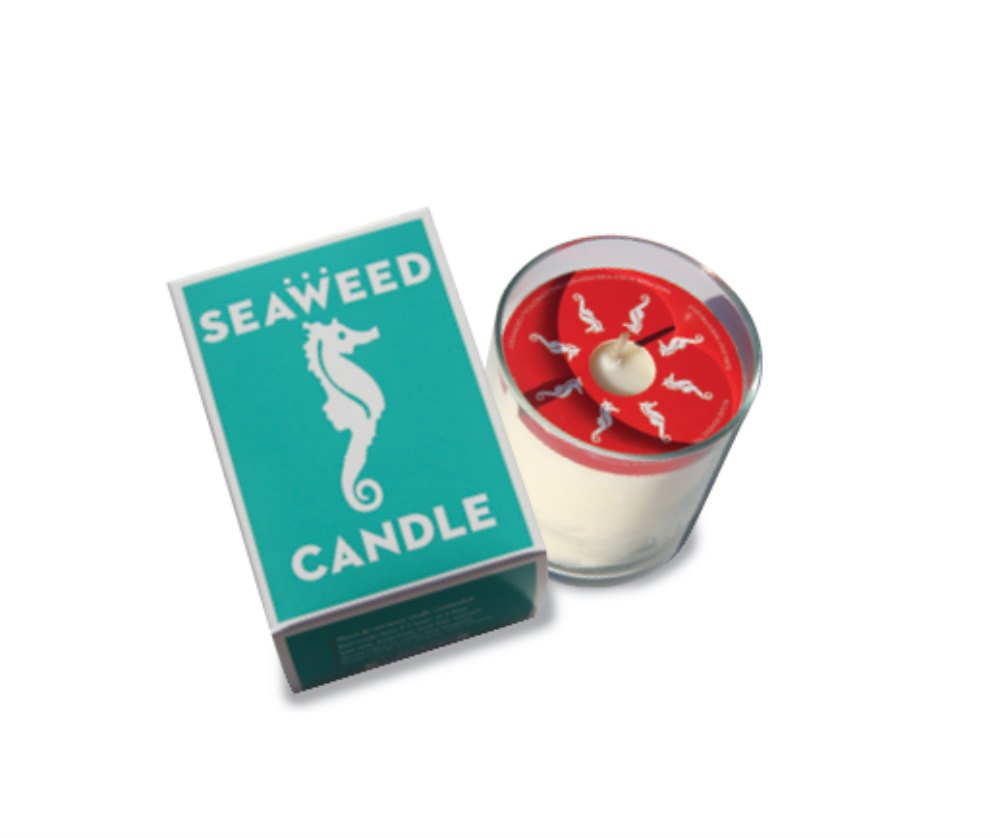 Swedish Dream Seaweed Candle