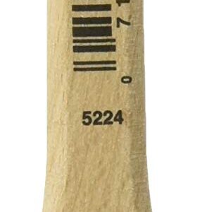 WOOSTER BRUSH 5224-1 SLV Tip Thin AS Brush, 1"