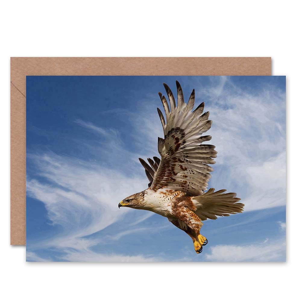 Wee Blue Coo FERRUGINOUS HAWK PREY HUNTING FLIGHT BIRD BIRTHDAY BLANK GREETINGS CARD