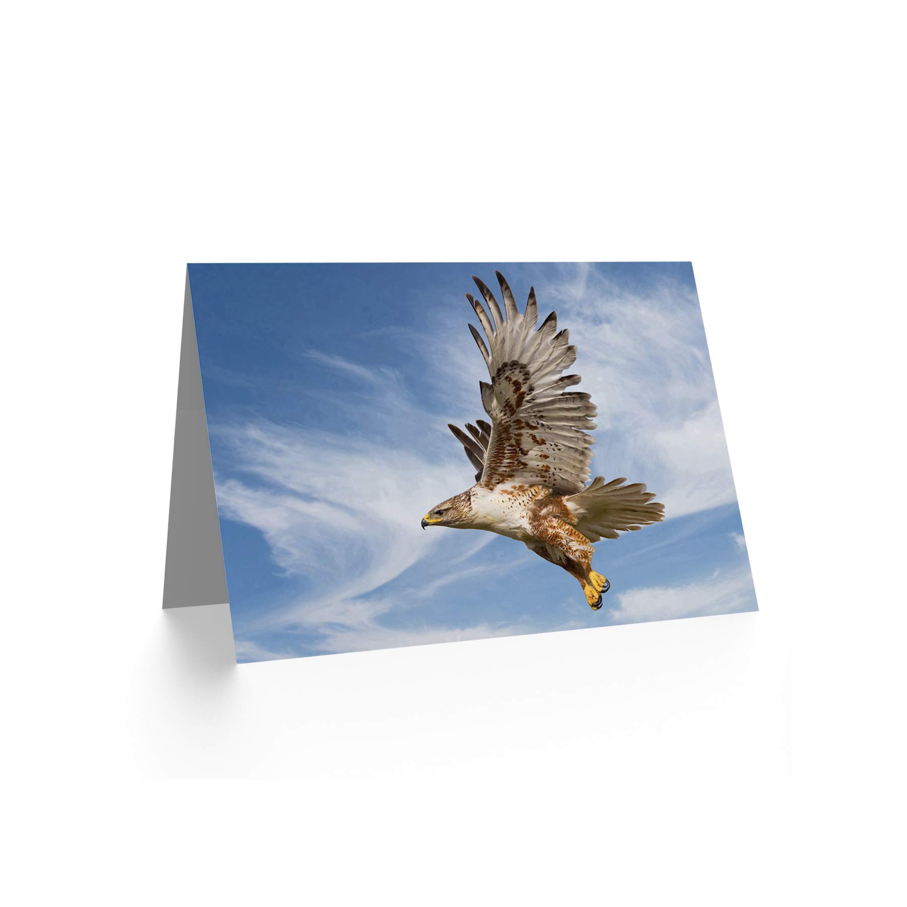 Wee Blue Coo FERRUGINOUS HAWK PREY HUNTING FLIGHT BIRD BIRTHDAY BLANK GREETINGS CARD