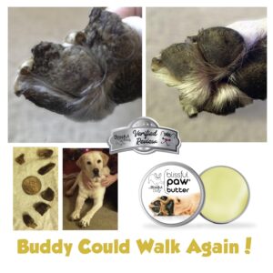 The Blissful Dog Paw Butter, Moisturizer for Dry Paw Pads, Softens and Protects a Rough Paw in Winter, Versatile, Lick-Safe Dog Paw Pad Balm, 2 oz.