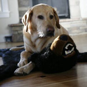 Carstens Plush Black Bear Kids Animal Rug Small