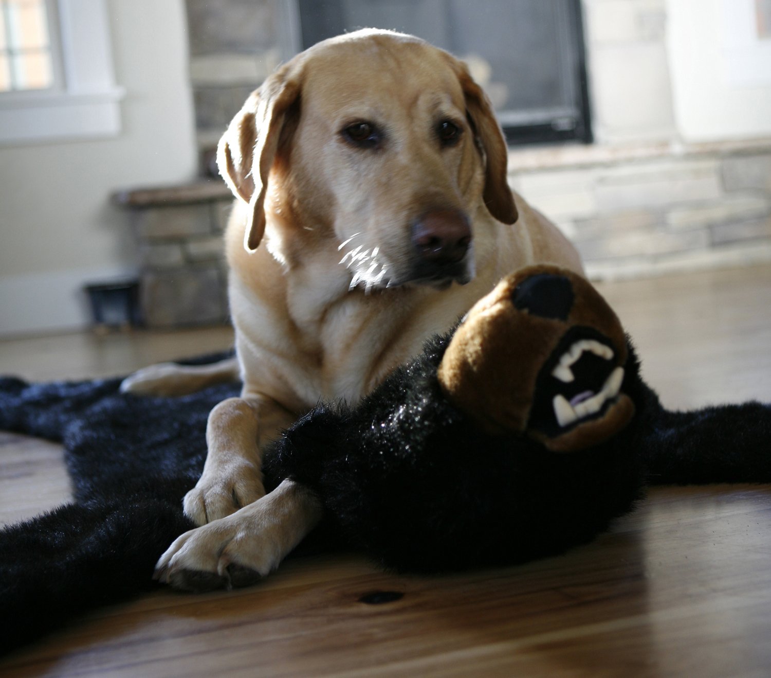 Carstens Plush Black Bear Kids Animal Rug Small