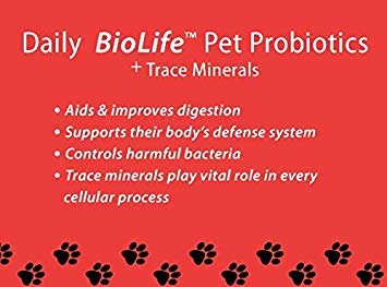 LiviaOne BioLifePet Liquid Probiotics for Dogs, Organic Dog Probiotic Supplements, Puppy and Dog Pet Probiotics, 4 Fl Oz (Pack of 1)