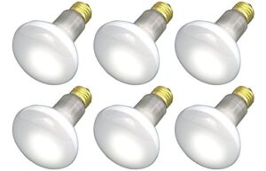 (pack of 6) 30r20/fl 120v - 30 watt r20 flood - e26 base 30w - light bulbs