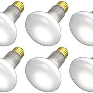 (Pack Of 6) 30R20/FL 120V - 30 Watt R20 Flood - E26 Base 30W - Light Bulbs