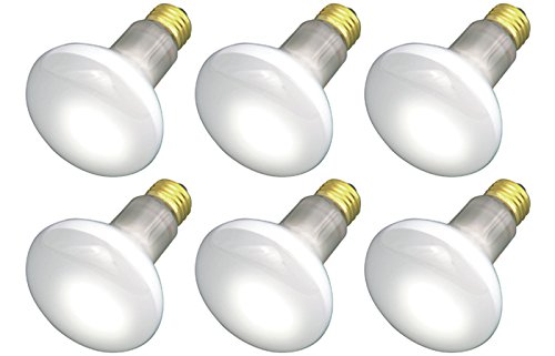 (Pack Of 6) 30R20/FL 120V - 30 Watt R20 Flood - E26 Base 30W - Light Bulbs