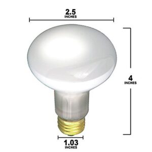 (Pack Of 6) 30R20/FL 120V - 30 Watt R20 Flood - E26 Base 30W - Light Bulbs