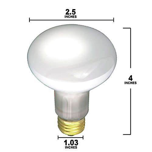 (Pack Of 6) 30R20/FL 120V - 30 Watt R20 Flood - E26 Base 30W - Light Bulbs