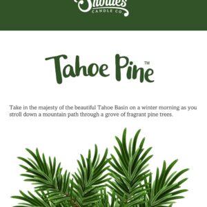 Tahoe Pine Soy Votive Candles - Scented with Essential & Natural Oils - 6 Green Natural Votive Candle Refills - Fresh & Clean Collection