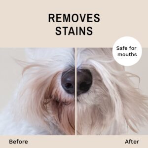 Eye Envy Beard Stain Remover Spray for Dogs/Cats|100% Natural and Safe|Lift Stains from Drooling, Saliva, Food, Runoff from Tearing|Treats The Cause of staining|Removes Odors|Keeps Beard Clean, 4oz