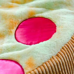 Soft Landing | Bestie Beanbags | Pizza Character Beanbags