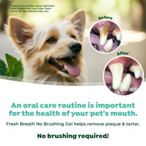 TropiClean Clean Teeth Gel for Puppies | No Brush Puppy Dental Gel | Puppy Toothpaste | Puppy Tooth Gel for Small Dogs | Made in the USA | 2.2 oz.