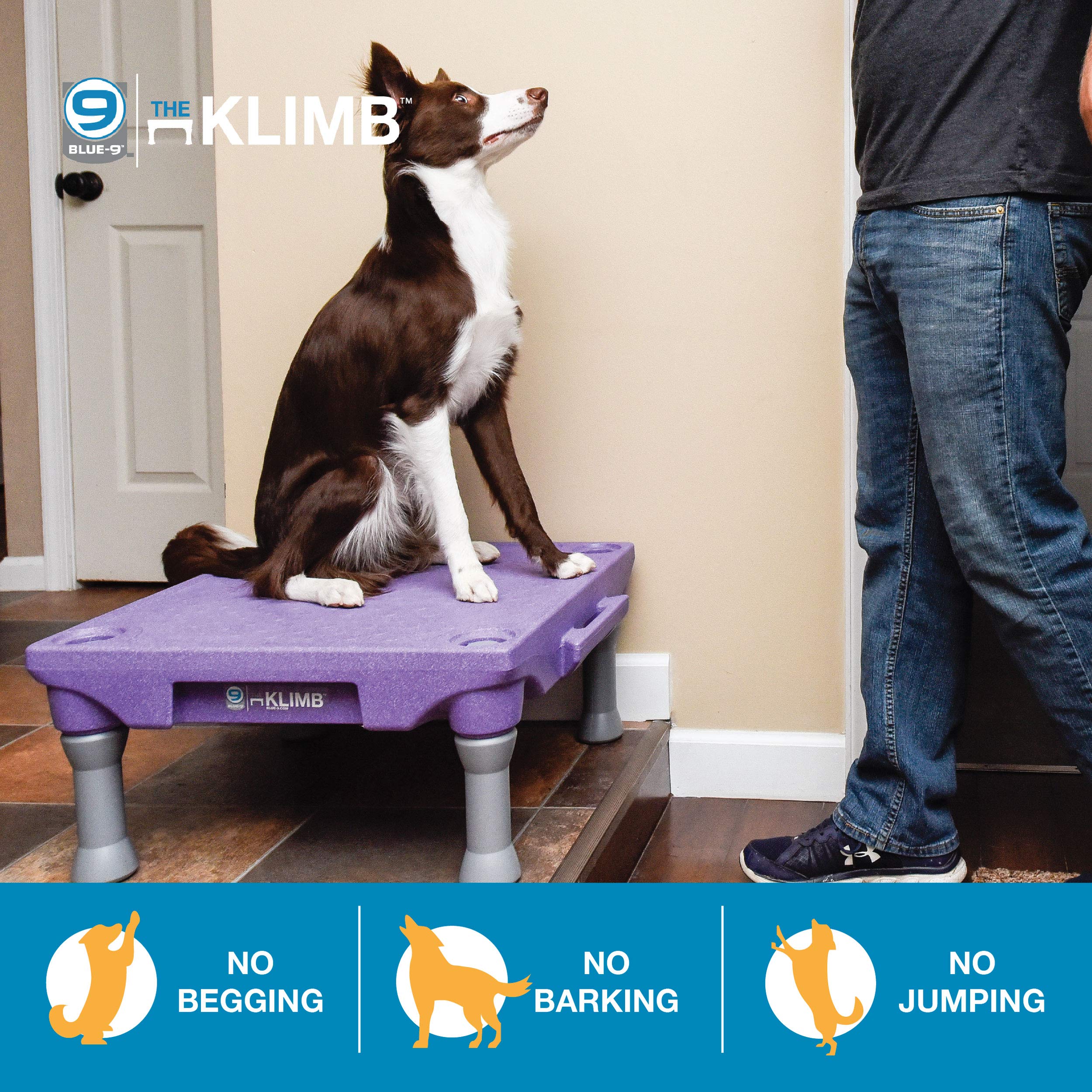 Blue-9 Pet Products KLIMB Dog Training Platform and Agility System, Durable and Portable for Indoor or Outdoor Use, Black