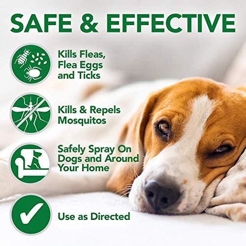 Vet's Best Flea and Tick Easy Spray | Flea Treatment for Dogs and Home |Plant-Based Formula | 6.3 Ounces