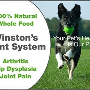 Winston Joint System - for Medium Dogs from 40-99 Pounds - 100% Natural Whole Food Supplement for Arthritis, Hip Dysplasia and Joint + Pain Relief - One Month Supply - Since 1992