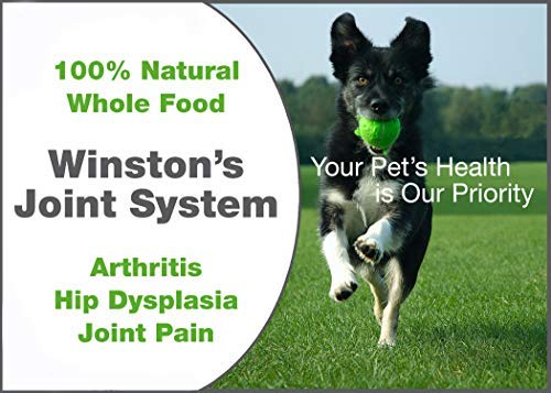 Winston Joint System - for Medium Dogs from 40-99 Pounds - 100% Natural Whole Food Supplement for Arthritis, Hip Dysplasia and Joint + Pain Relief - One Month Supply - Since 1992