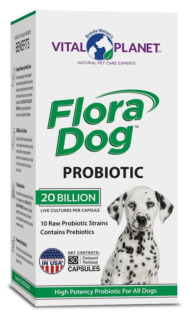 Vital Planet - Flora Dog Probiotic Capsules Supplement with 20 Billion Cultures and 10 Strains, High Potency Immune and Digestive Support Probiotics for Dogs, 30 Delayed Release Capsules