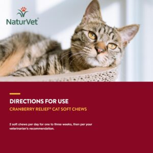 NaturVet Cranberry Relief Plus Echinacea for Cats, 60 ct Soft Chews, Made in The USA with Globally Source Ingredients