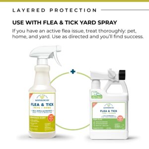 Wondercide - Flea, Tick & Mosquito Spray for Dogs, Cats, and Home - Flea and Tick Killer, Control, Prevention, Treatment - with Natural Essential Oils - Pet and Family Safe - Lemongrass 32 oz