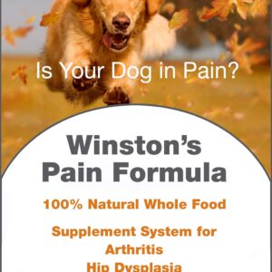 Winston's Pain Formula - for Dogs of All Ages and Sizes - 100% Natural Whole Food Supplement to Help Alleviate: Canine Arthritis, Inflammation and Joint + Hip Pain - 120 Chewable Tablets