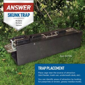 JT Eaton Answer® Skunk & Medium Pest Live Trap, Dark Interior, Easy Capture Trigger, Easy Release Door