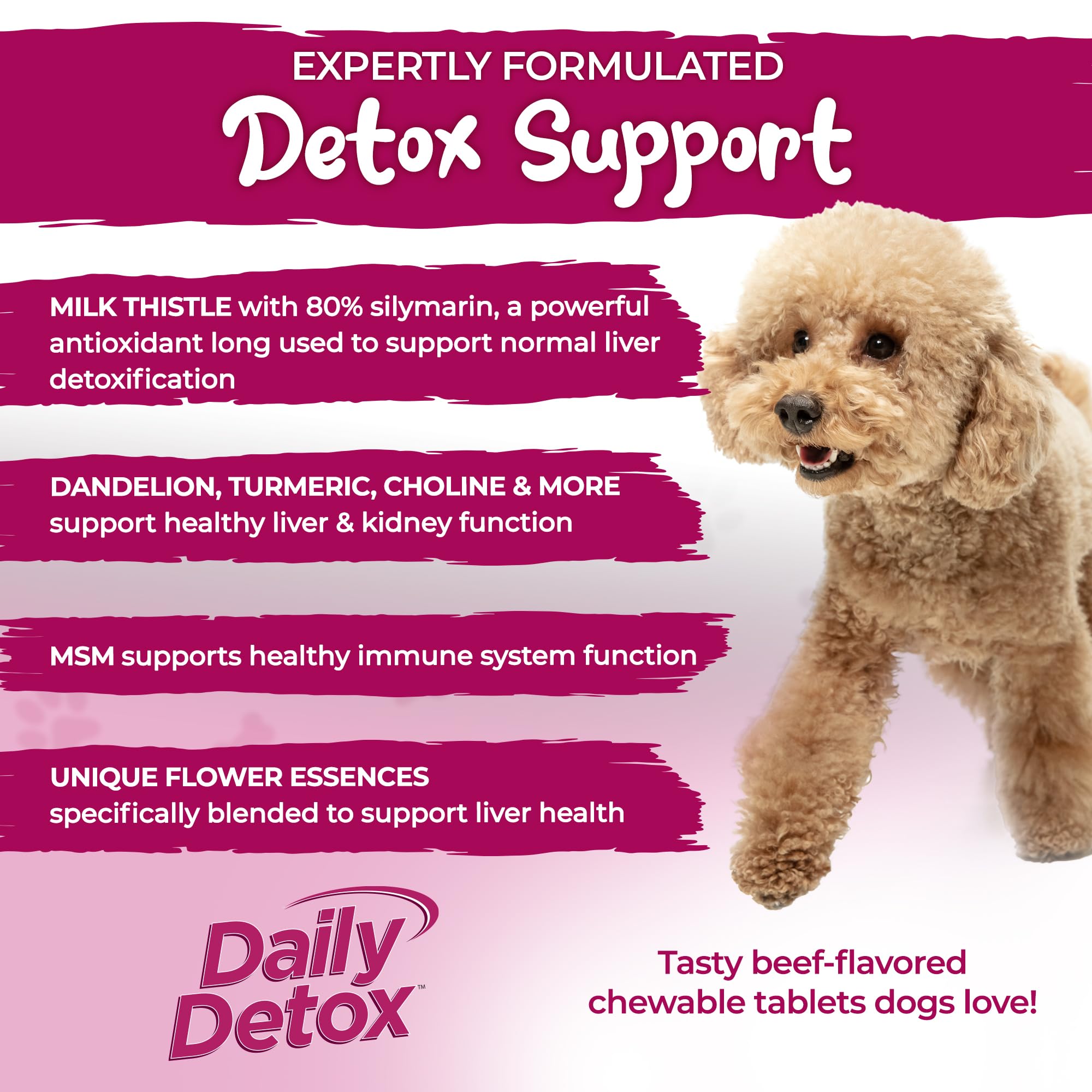 Vital Planet - Daily Detox for Dogs with MSM, Milk Thistle, Spirulina, and Turmeric, Supports The Immune System and Natural Cleansing of The Liver - 60 Beef Flavored Chewable Tablets