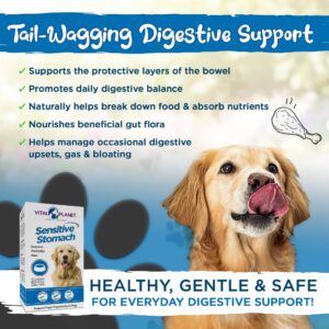 Vital Planet - Sensitive Stomach for Dogs with Enzymes, Probiotics and Fiber, Natural Digestive Support for Upset Stomach with Fennel, and Peppermint, 60 Chicken Flavored Chewable Tablets