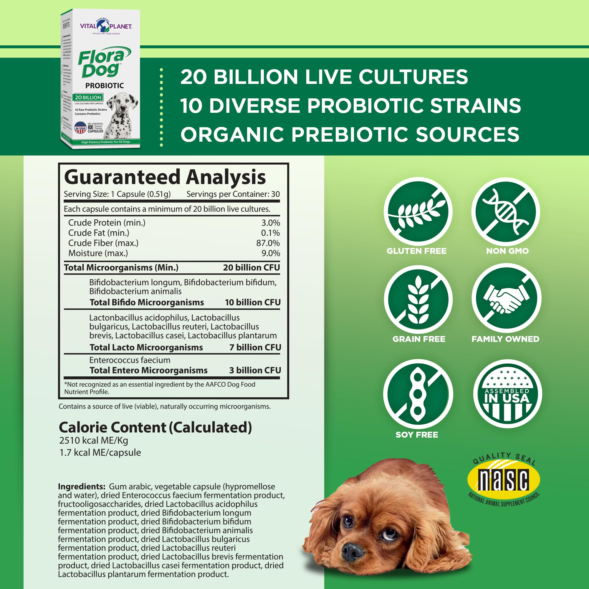 Vital Planet - Flora Dog Probiotic Capsules Supplement with 20 Billion Cultures and 10 Strains, High Potency Immune and Digestive Support Probiotics for Dogs, 30 Delayed Release Capsules