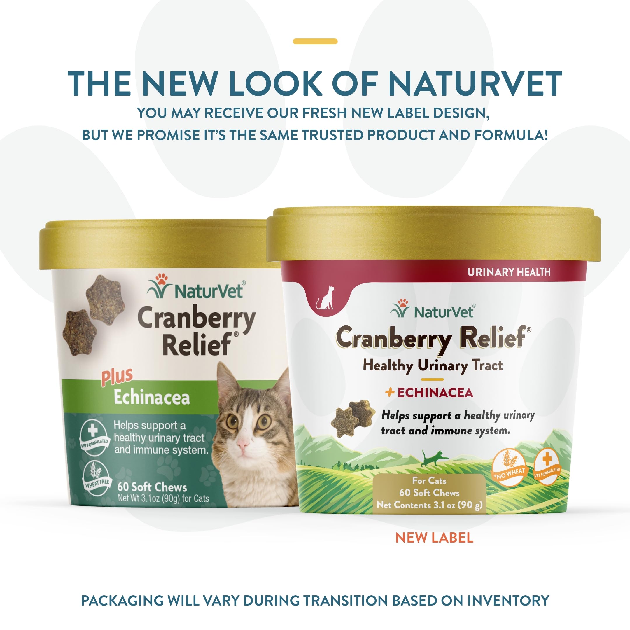 NaturVet Cranberry Relief Plus Echinacea for Cats, 60 ct Soft Chews, Made in The USA with Globally Source Ingredients