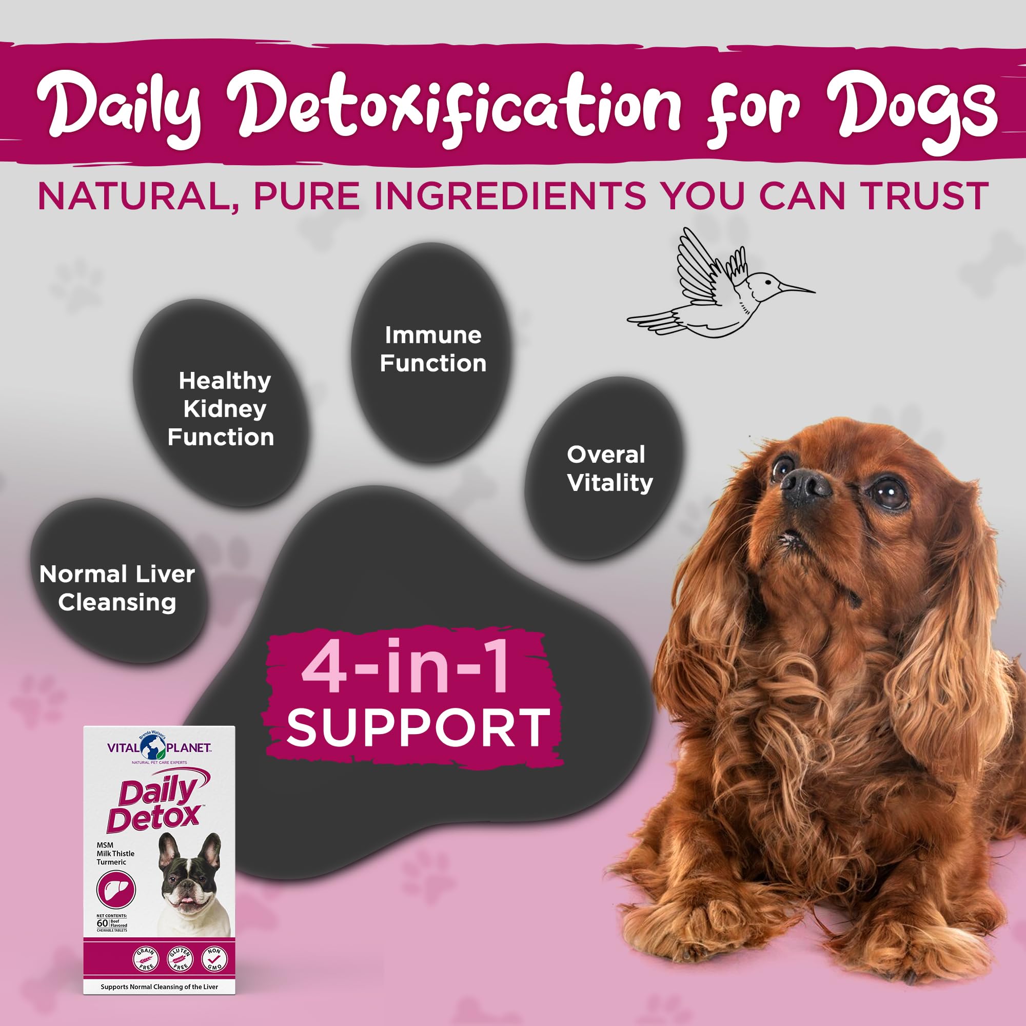 Vital Planet - Daily Detox for Dogs with MSM, Milk Thistle, Spirulina, and Turmeric, Supports The Immune System and Natural Cleansing of The Liver - 60 Beef Flavored Chewable Tablets