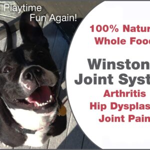 Winston Joint System - for Medium Dogs from 40-99 Pounds - 100% Natural Whole Food Supplement for Arthritis, Hip Dysplasia and Joint + Pain Relief - One Month Supply - Since 1992