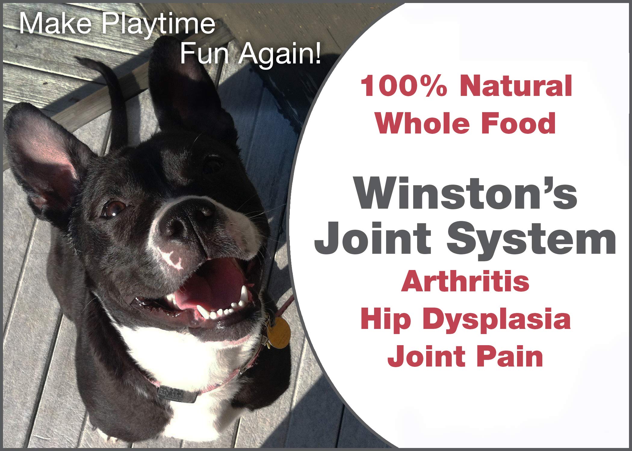 Winston Joint System - for Medium Dogs from 40-99 Pounds - 100% Natural Whole Food Supplement for Arthritis, Hip Dysplasia and Joint + Pain Relief - One Month Supply - Since 1992