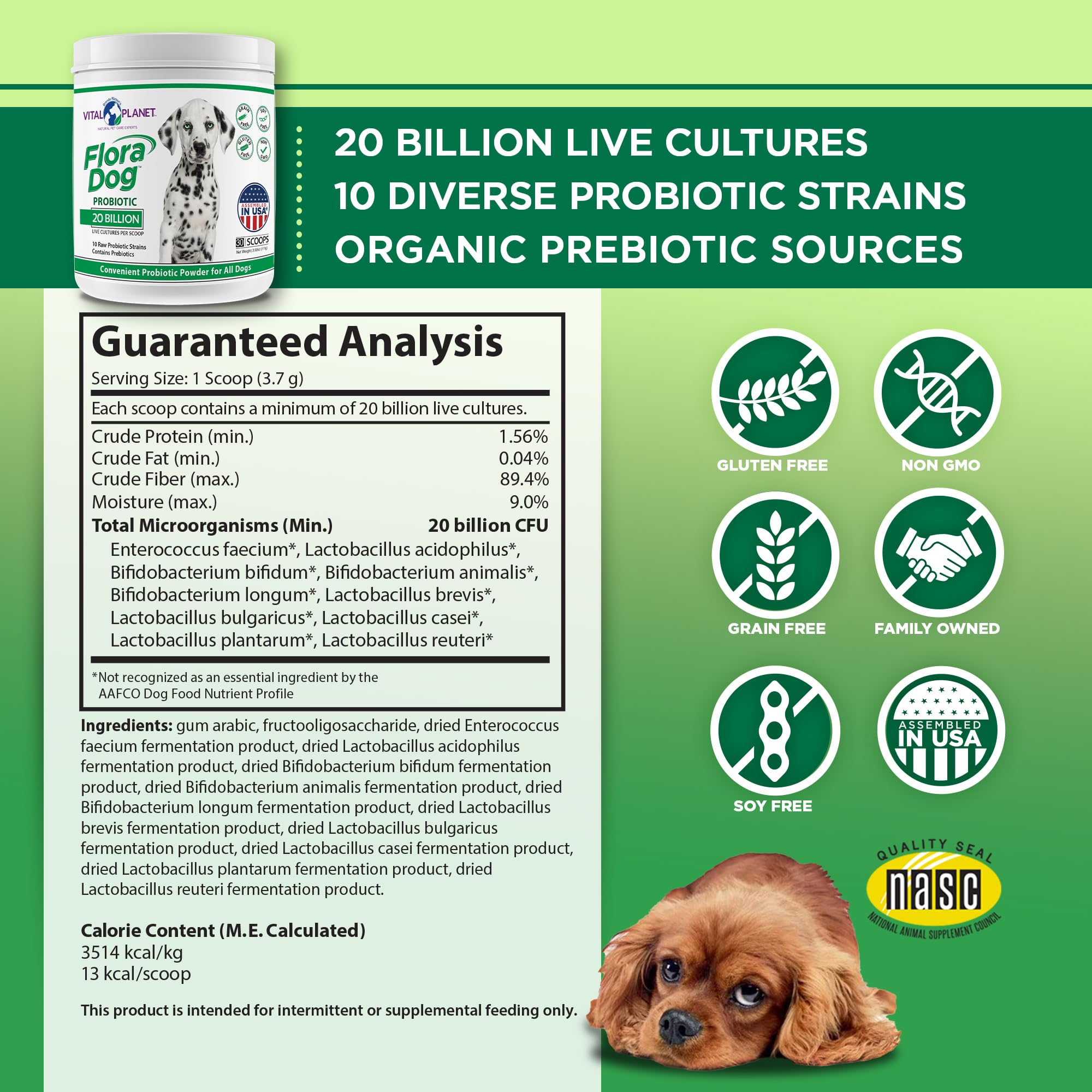 Vital Planet - Flora Dog Probiotic Powder Supplement with 20 Billion Cultures and 10 Strains, High Potency Immune and Digestive Support Probiotics for Dogs, 3.92 oz., 111 Grams, 30 Servings