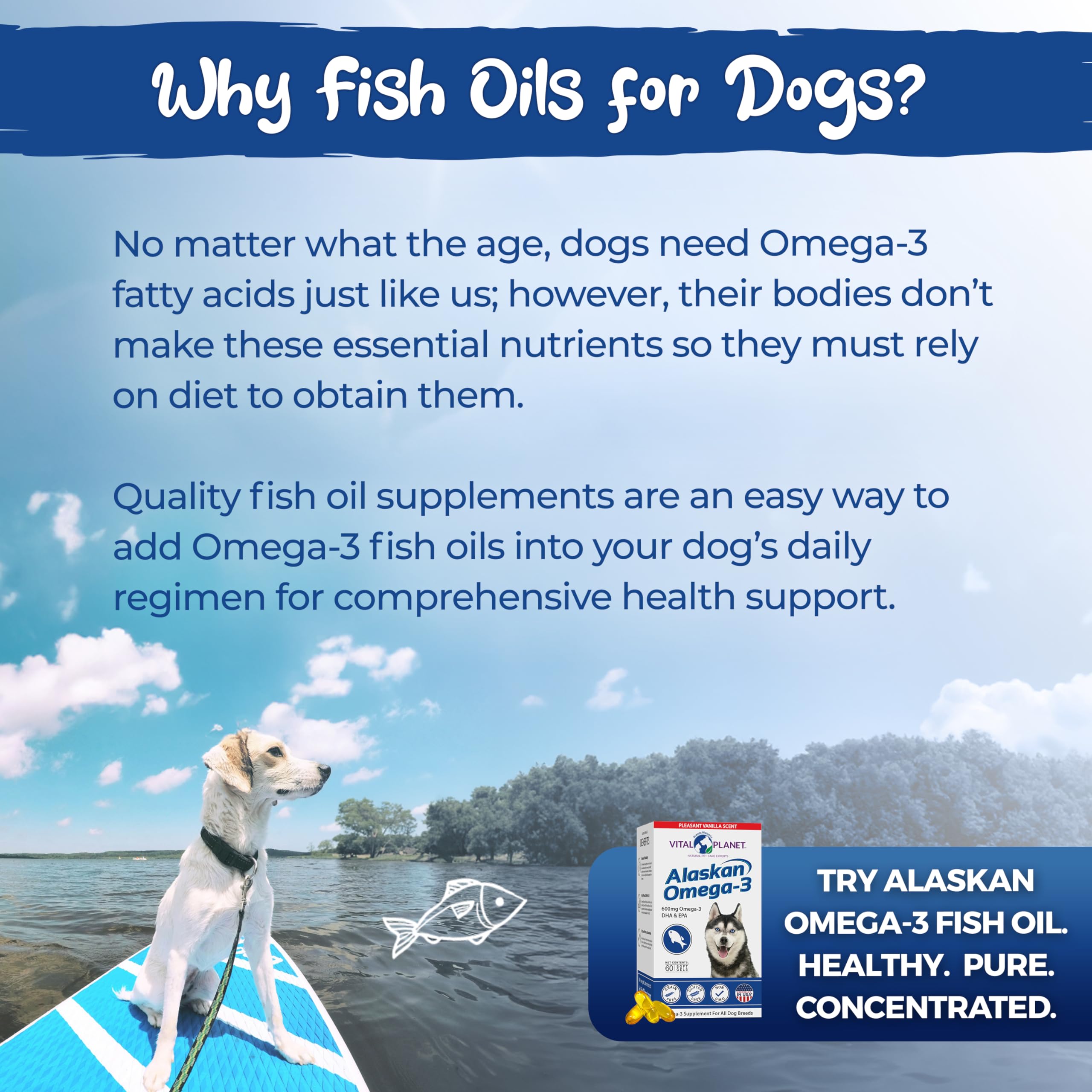 Vital Planet - Alaskan Omega-3 Fish Oil Supplement for Dogs with 600mg of Omega-3, High in DHA and EPA from Sustainably Harvested Wild Caught Cold Water Fish, 60 Vanilla Softgels