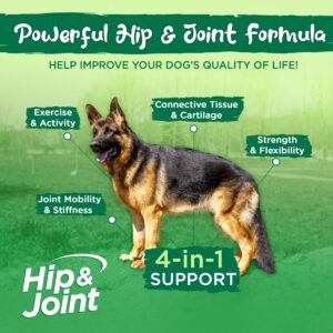 Vital Planet - Natural Hip and Joint Supplement for Dogs - Potent Herbal Blend with Green Lipped Mussel, MSM and Glucosamine Beef Flavor (60 Chewable Tabs)