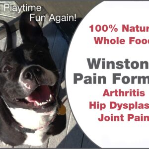 Winston's Pain Formula - for Dogs of All Ages and Sizes - 100% Natural Whole Food Supplement to Help Alleviate: Canine Arthritis, Inflammation and Joint + Hip Pain - 120 Chewable Tablets