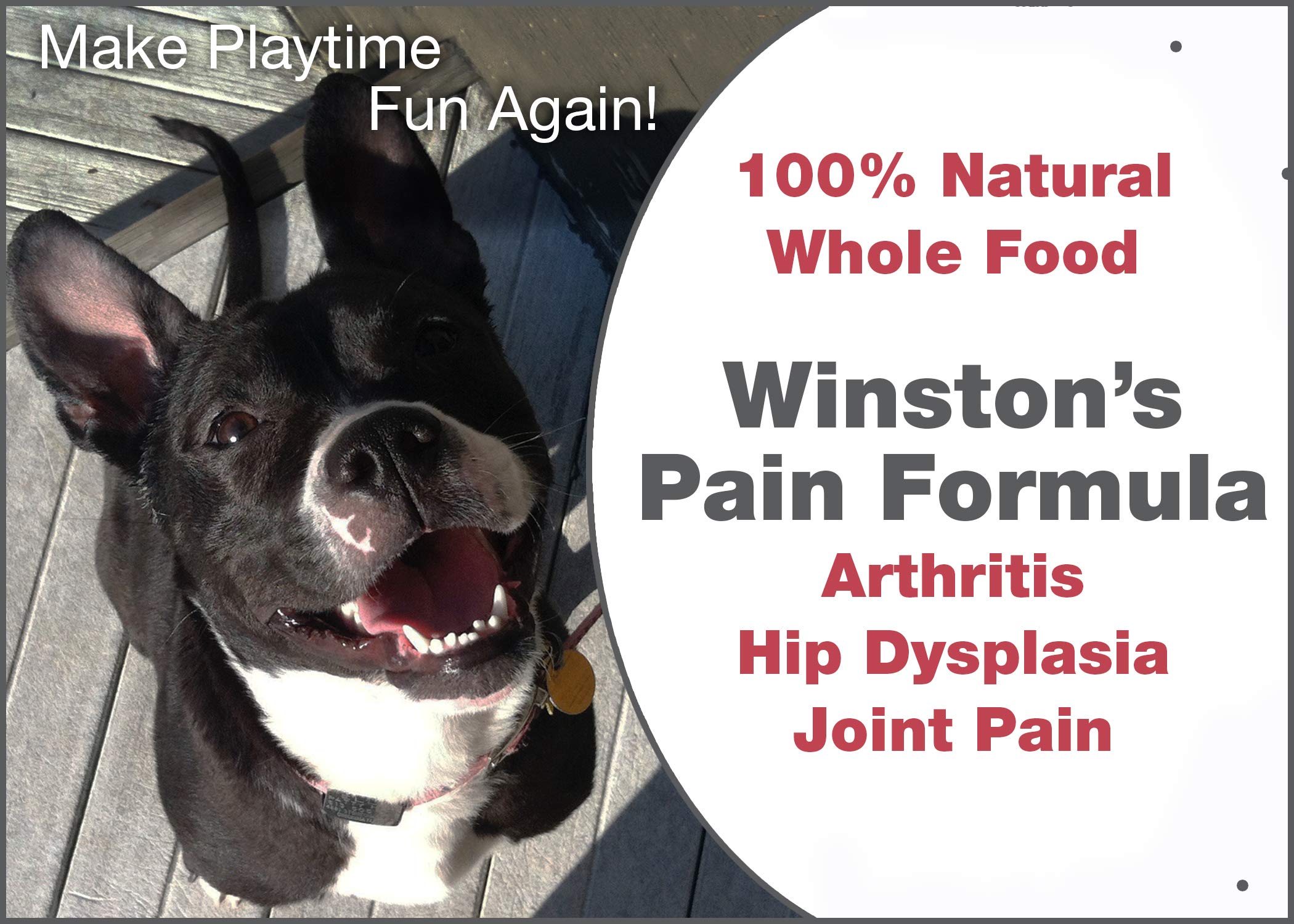 Winston's Pain Formula - for Dogs of All Ages and Sizes - 100% Natural Whole Food Supplement to Help Alleviate: Canine Arthritis, Inflammation and Joint + Hip Pain - 120 Chewable Tablets