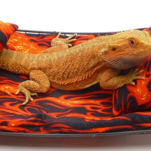 Chaise Lounge for Bearded Dragons, Flames Fabric