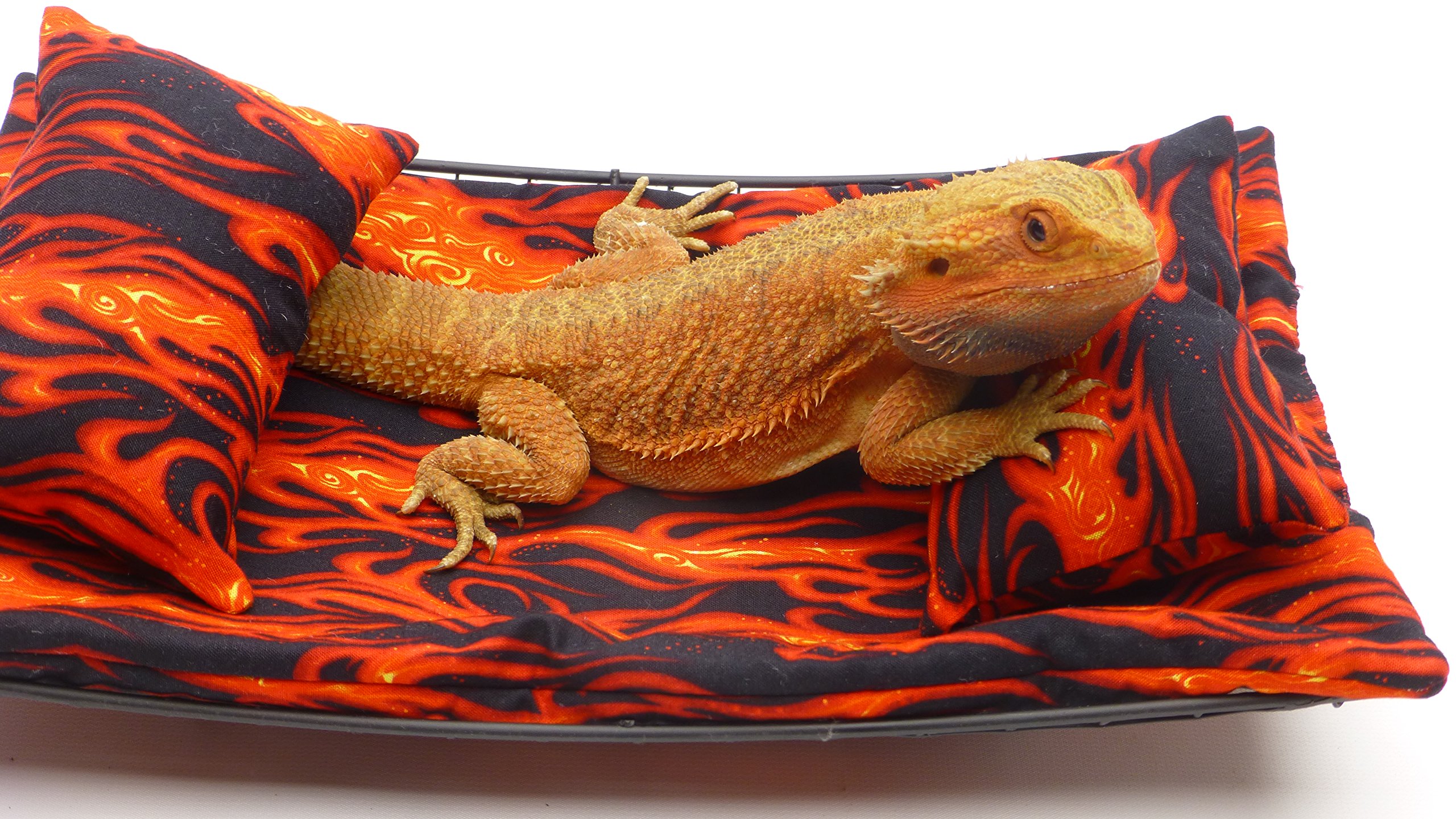 Chaise Lounge for Bearded Dragons, Flames Fabric