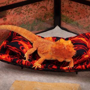 Chaise Lounge for Bearded Dragons, Flames Fabric