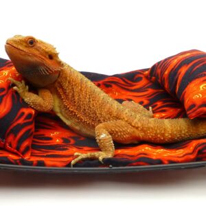 Chaise Lounge for Bearded Dragons, Flames Fabric