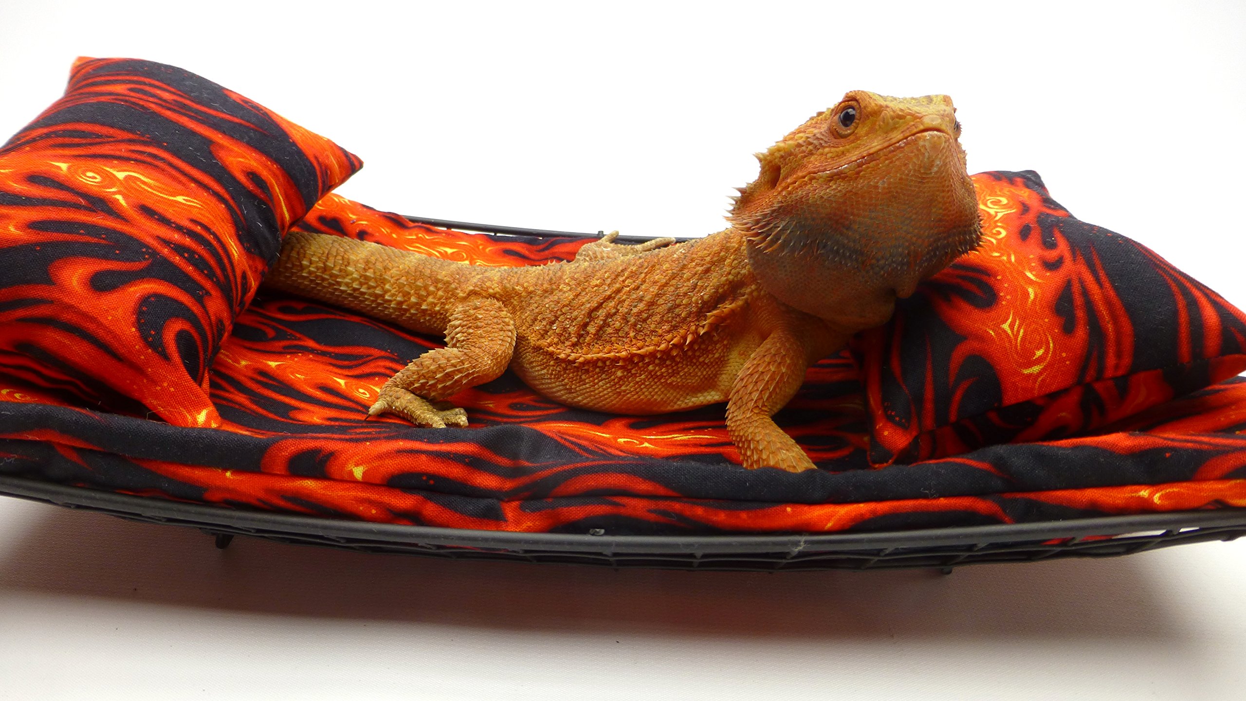 Chaise Lounge for Bearded Dragons, Flames Fabric