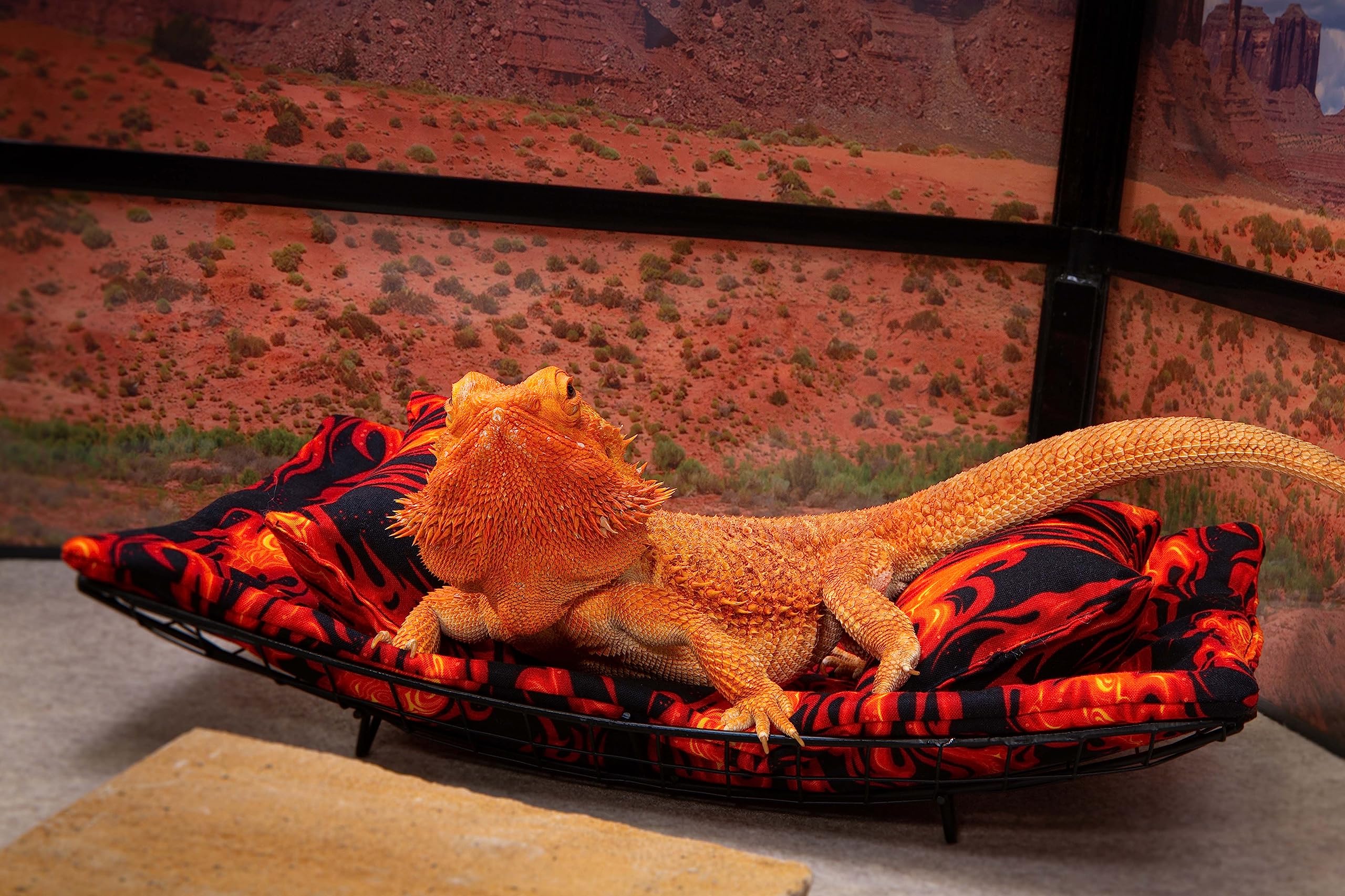 Chaise Lounge for Bearded Dragons, Flames Fabric