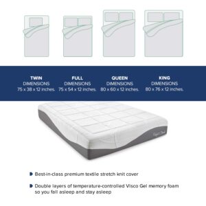 Perfect Cloud Made in The USA UltraPlush Charcoal-Infused 10-inch Memory Foam Mattress - Pressure Relieving - Bed-in-a-Box (Twin)