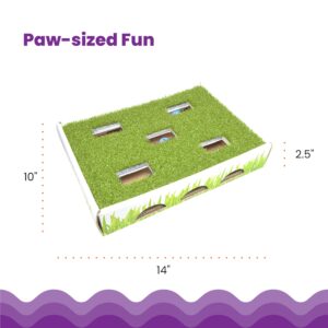 Catstages Grass Patch Hunting Box Cat Toy