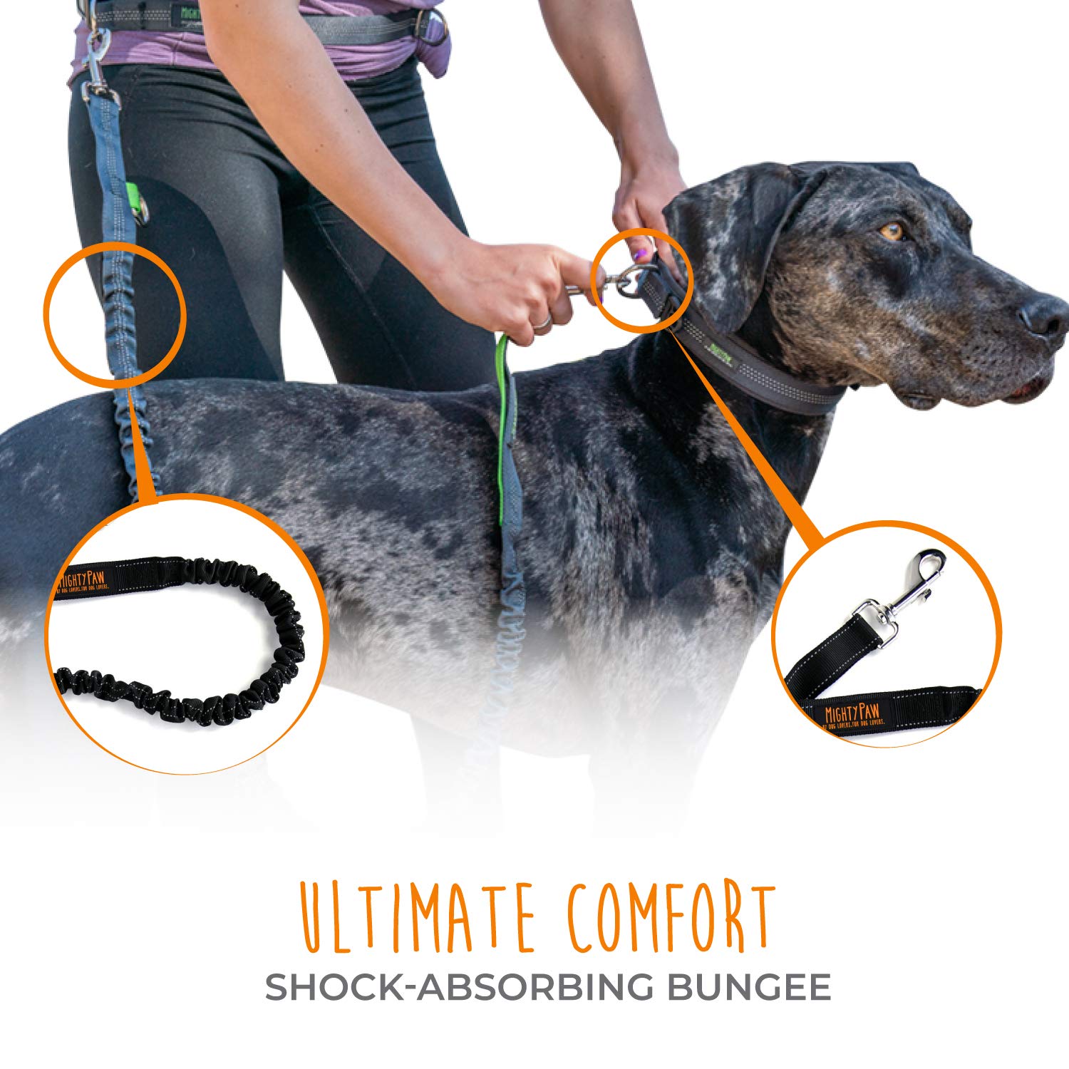 Mighty Paw Hands Free Dog Leash | Bungee Waist Leash for Dog Walking. Dog Running Leash Hands Free. Hands Free Leash for Large Dogs, Medium & Small Dogs. Dog Leash Waist Belt (36" - 48") Up To 150 lbs