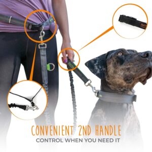 Mighty Paw Hands Free Dog Leash | Bungee Waist Leash for Dog Walking. Dog Running Leash Hands Free. Hands Free Leash for Large Dogs, Medium & Small Dogs. Dog Leash Waist Belt (36" - 48") Up To 150 lbs