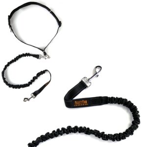 Mighty Paw Hands Free Dog Leash | Bungee Waist Leash for Dog Walking. Dog Running Leash Hands Free. Hands Free Leash for Large Dogs, Medium & Small Dogs. Dog Leash Waist Belt (36" - 48") Up To 150 lbs